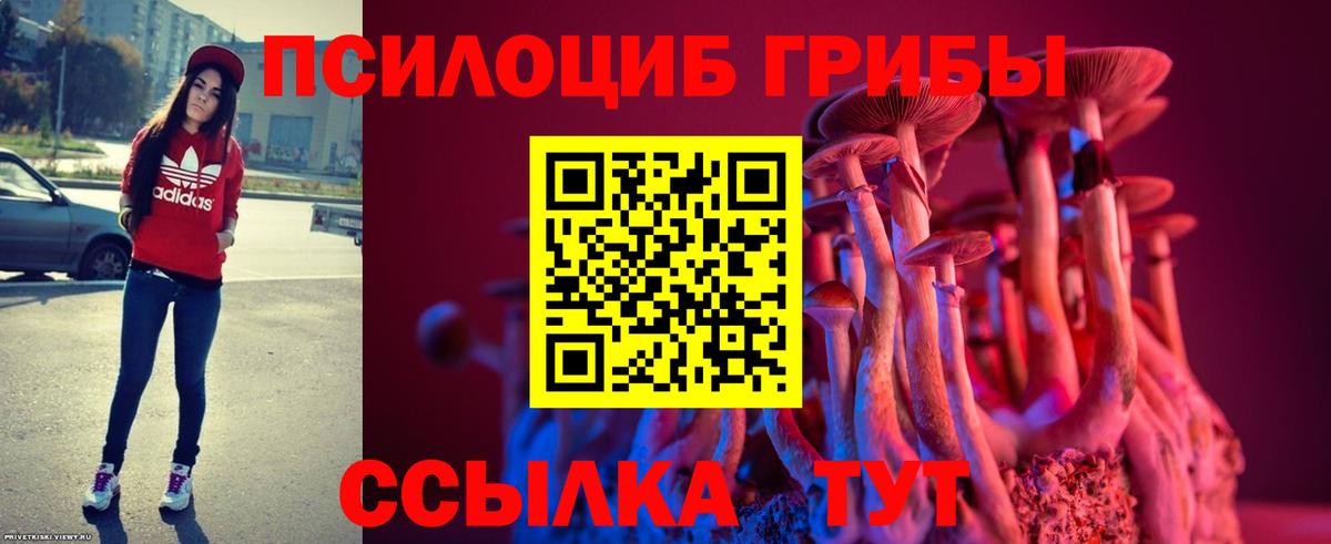 Псилоцибиновые грибы Magic Shrooms Алейск